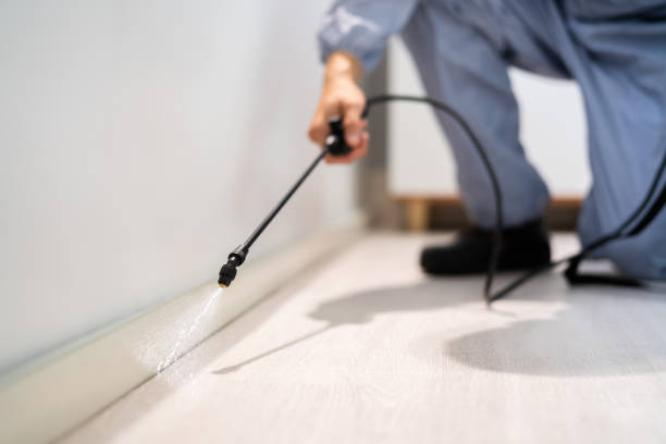 Licensed Pest Control service in Bret Harte, CA - Nex Pest Control