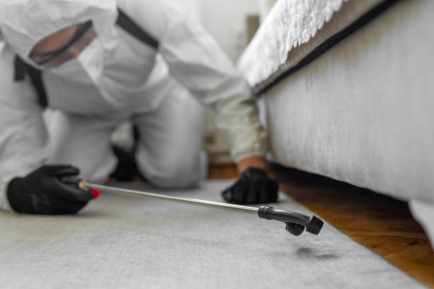 Professional Pest Control technician working in Bret Harte, CA