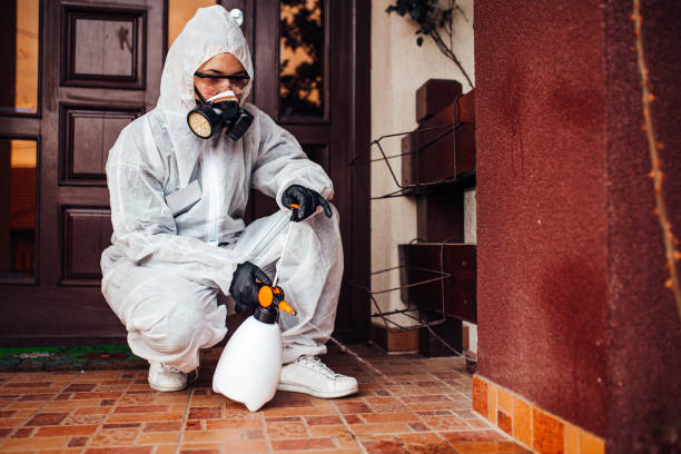 Reliable Cockroach Control contractor in Bret Harte, CA by Nex Pest Control