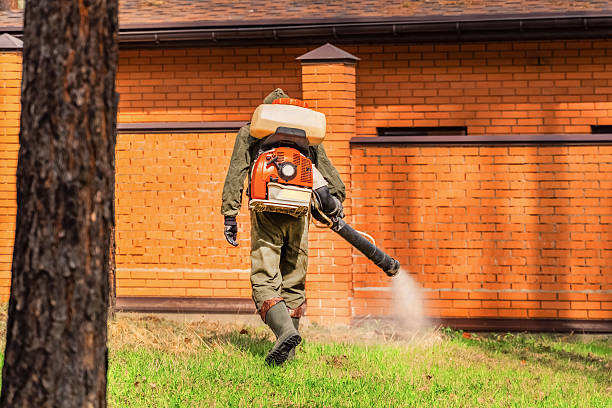 Trusted Cockroach Control service in Bret Harte, CA - Nex Pest Control